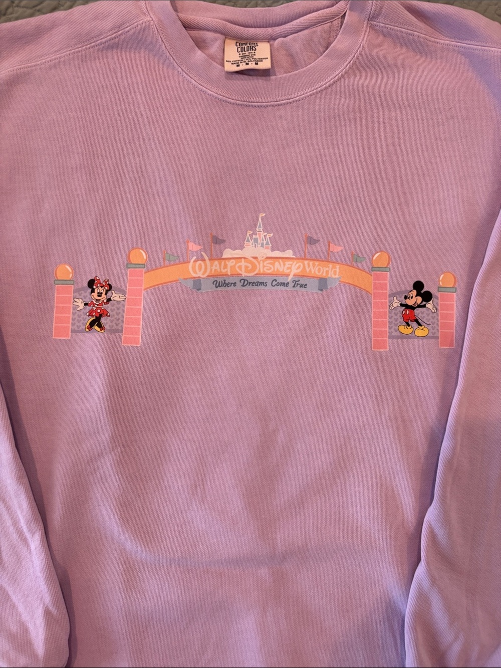 Disney NWOT Lavender Sweatshirt with Mickey and Minnie-Firm